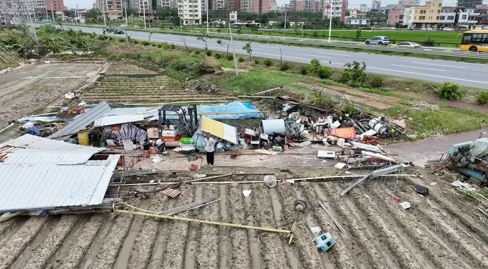 「超强台风」之后，那些被遗忘在秋天的村镇-第5张图片-