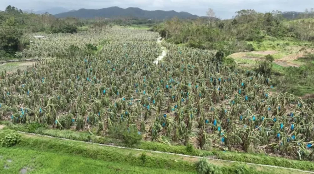 「超强台风」之后，那些被遗忘在秋天的村镇-第7张图片-
