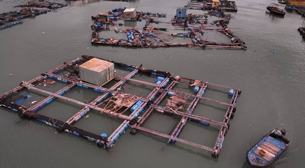 「超强台风」之后，那些被遗忘在秋天的村镇-第10张图片-