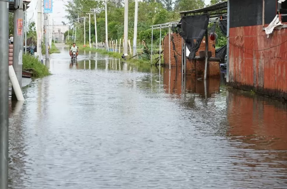 「超强台风」之后，那些被遗忘在秋天的村镇-第13张图片-