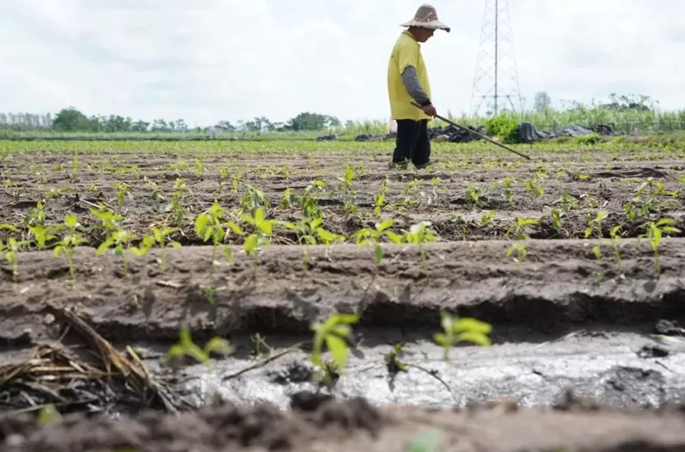 「超强台风」之后，那些被遗忘在秋天的村镇-第27张图片-