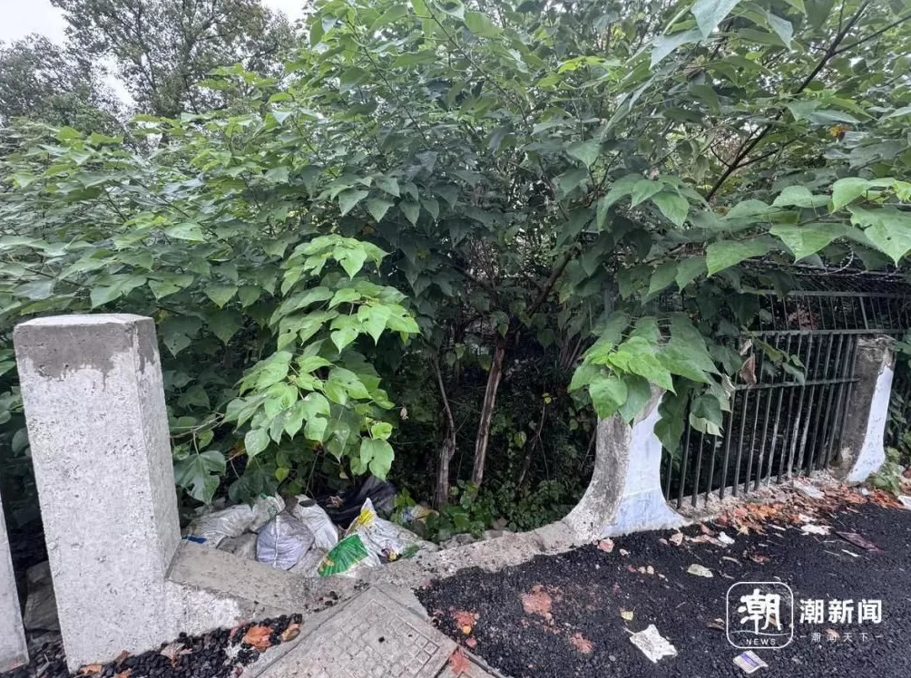 废弃医院和学校成打卡地？属地再发安全提醒：滤镜之外危险重重-第3张图片-