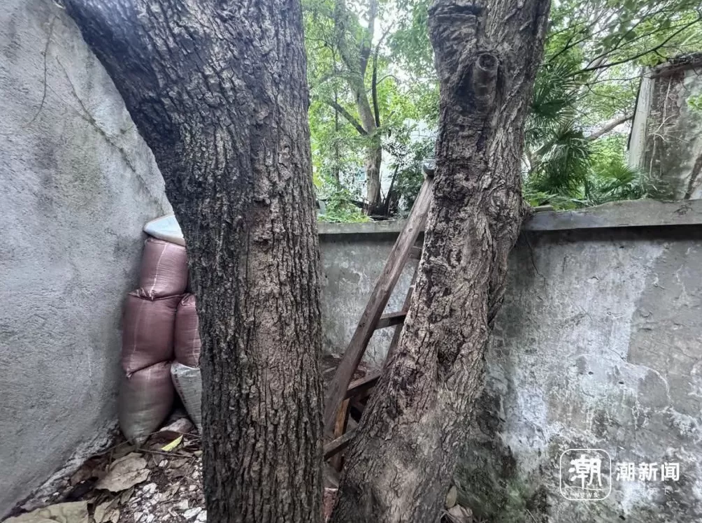 废弃医院和学校成打卡地？属地再发安全提醒：滤镜之外危险重重-第2张图片-