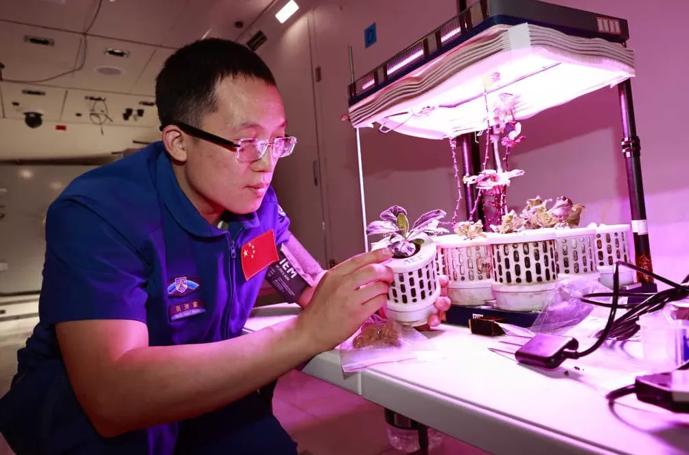 国内首位电池专家将进入太空，他研究的方向事关神舟飞船“心脏”-第2张图片-