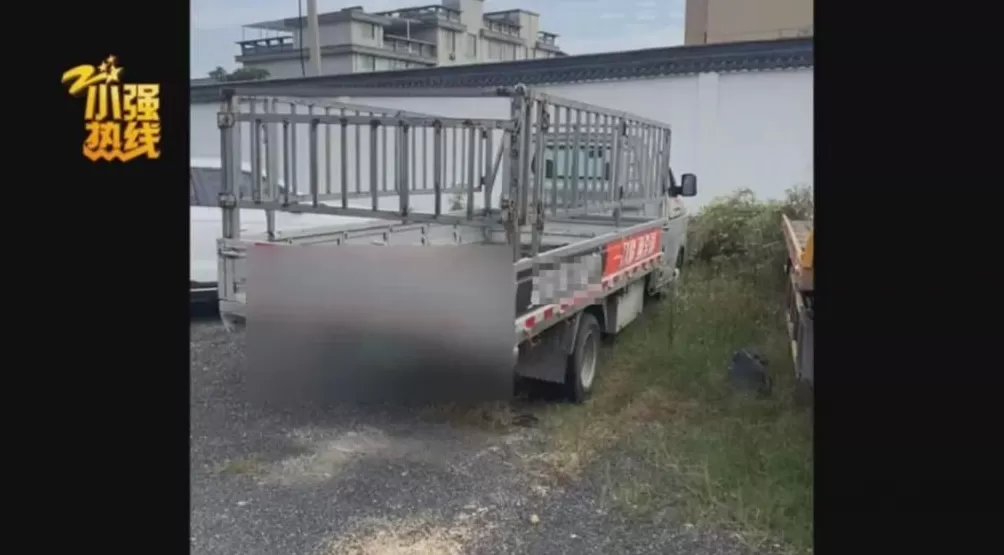 司机深夜撞死狗，二次事故致71岁老太身亡，交警认定三轮车主责货车次责，双方均不服-第1张图片-