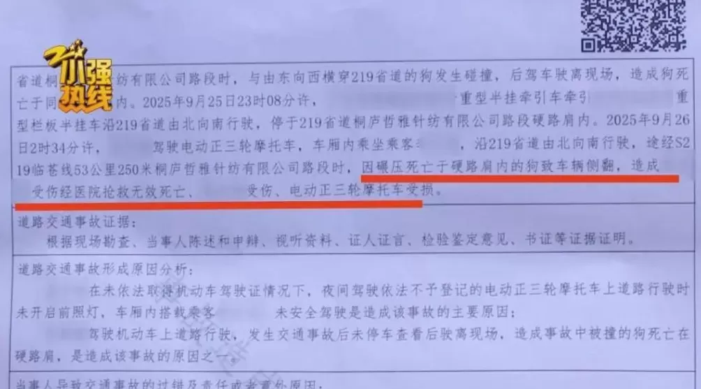 司机深夜撞死狗，二次事故致71岁老太身亡，交警认定三轮车主责货车次责，双方均不服-第3张图片-