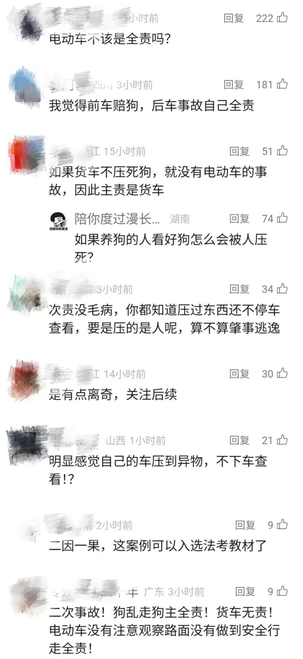 司机深夜撞死狗，二次事故致71岁老太身亡，交警认定三轮车主责货车次责，双方均不服-第4张图片-