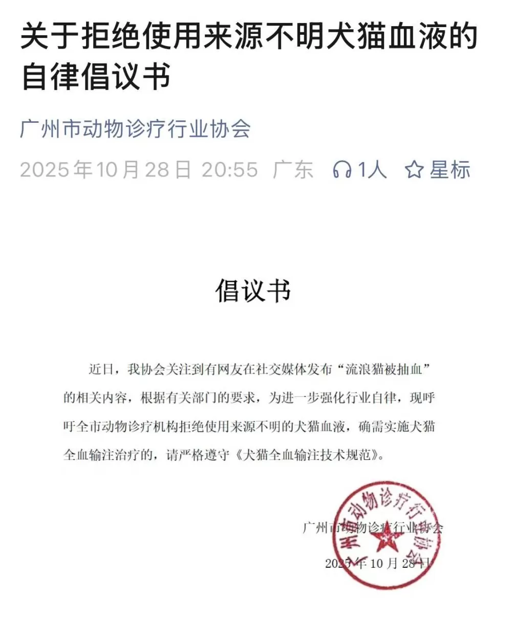 宠物输血乱象频发，“血猫血狗”何时能得立法保障？-第3张图片-