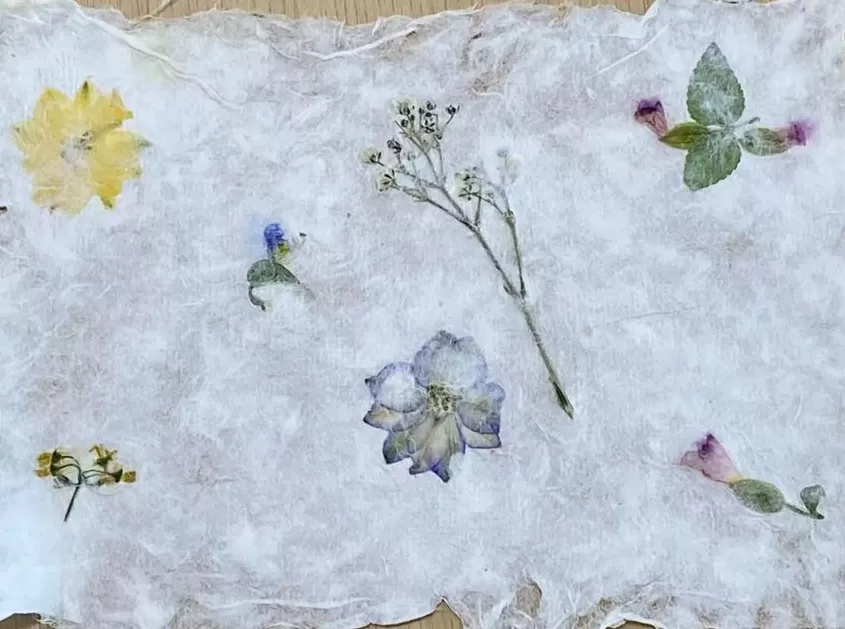 奔流日记｜珍·古道尔、BigChing·阿罗姆与湖山-第1张图片-