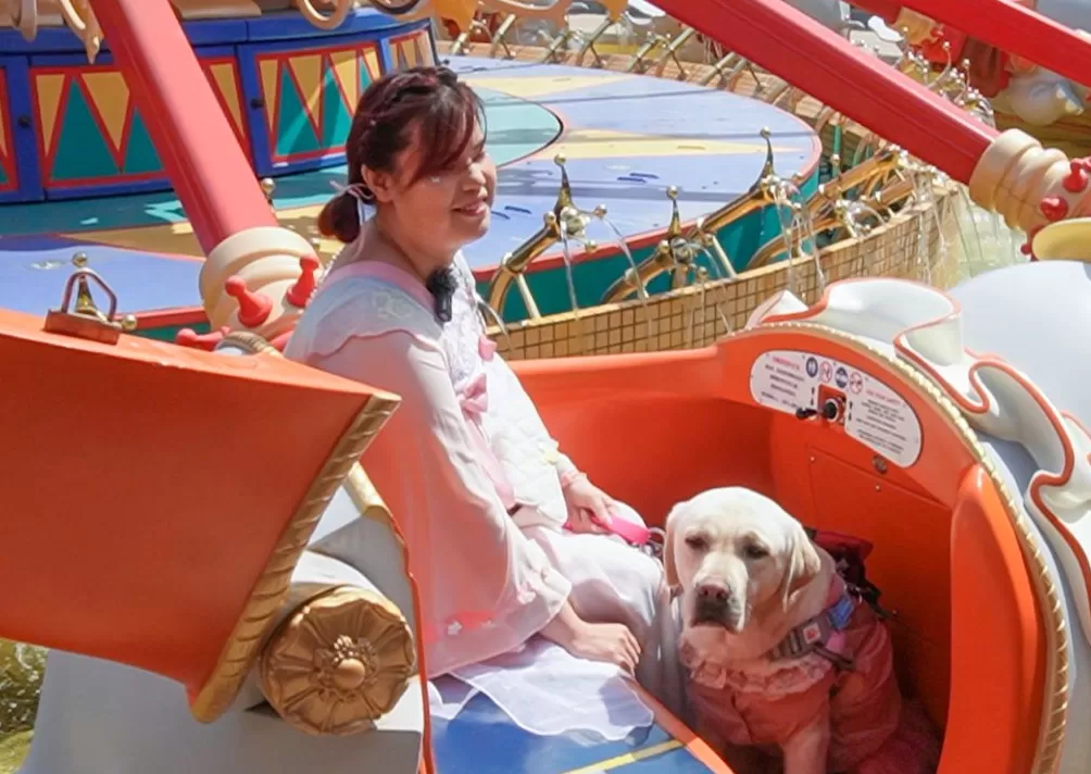 上海世博闭幕15年，世博会博物馆聚焦那些被世博点亮的人生-第11张图片-