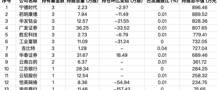 9家外资公募最新持仓曝光，AI科技成布局热点-第6张图片-
