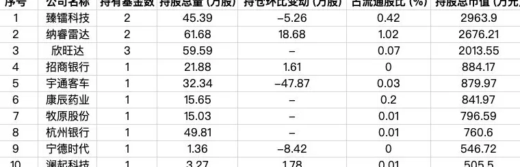 9家外资公募最新持仓曝光，AI科技成布局热点-第8张图片-