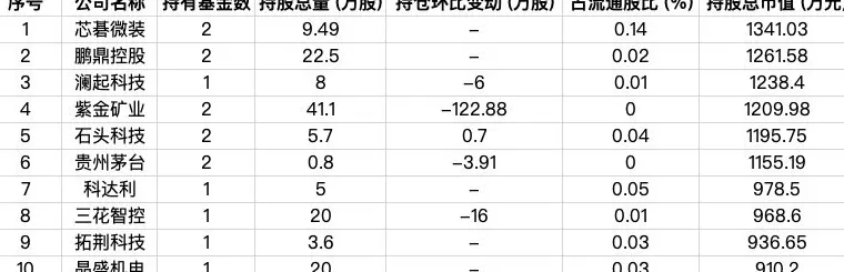 9家外资公募最新持仓曝光，AI科技成布局热点-第7张图片-