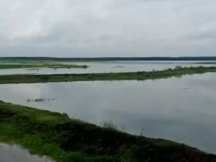 法治面 | 内蒙古8700亩行洪区土地承包后被淹，谁该担责？-第1张图片-
