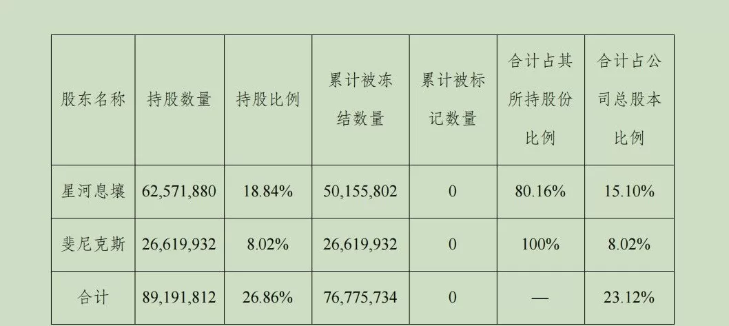 【深度】威龙股份跨界梦碎，90后实控人为何身陷挪资案？-第2张图片-