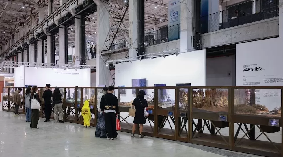 上海西岸办艺术教育展：多元而直面社会议题-第3张图片-