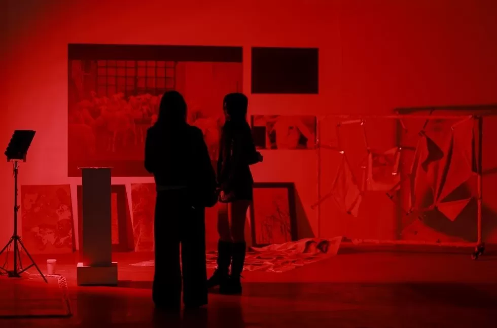 上海西岸办艺术教育展：多元而直面社会议题-第5张图片-