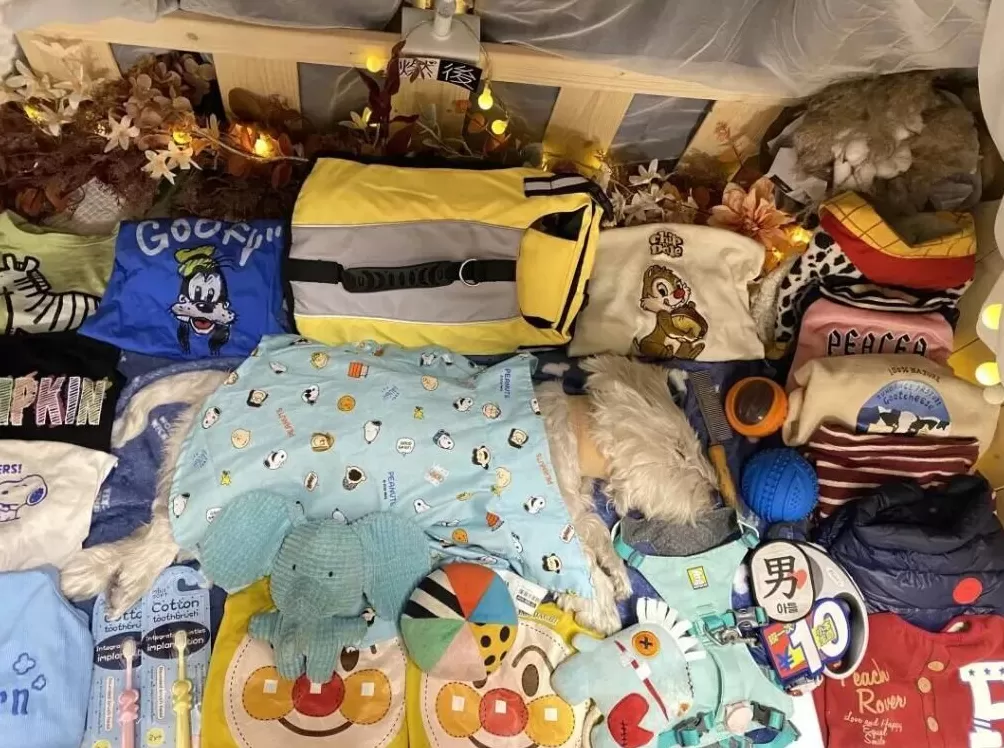 饲养13年小狗疑被投毒致死，她辞职为小狗追凶3年-第3张图片-