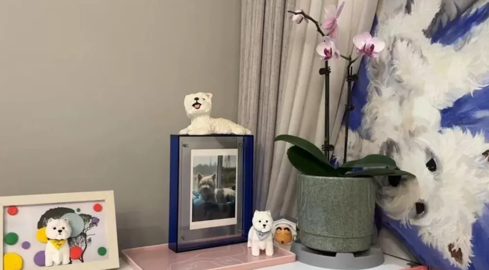 饲养13年小狗疑被投毒致死，她辞职为小狗追凶3年-第4张图片-