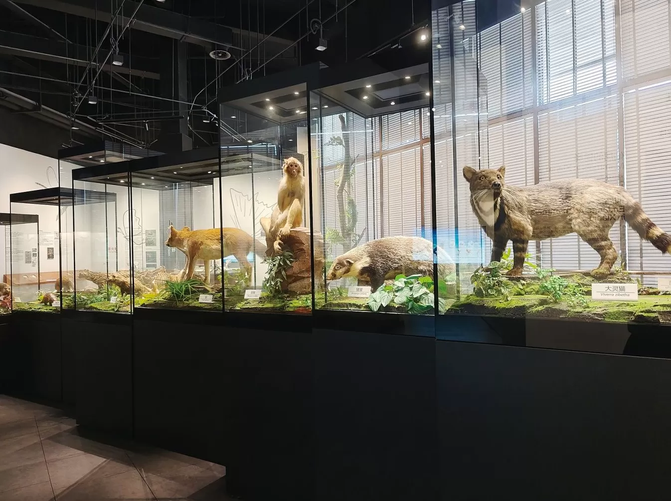 2025和合文化论坛今日开幕，在台州看见和合之美-第14张图片-