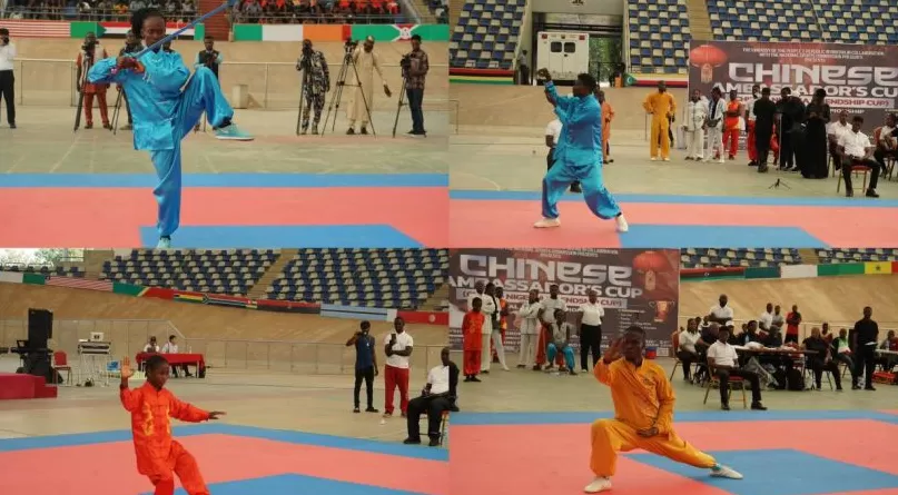 “中国大使杯”尼日利亚武术锦标赛在阿布贾成功举行-第4张图片-