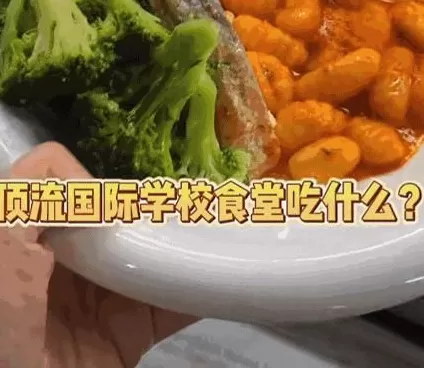 拒绝续费的中产:不装了,钱不够-第7张图片- 拒绝续费的中产:不装了,钱不够-第7张图片-