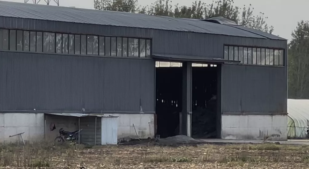 澎湃再探访涉“毒营养土”企业：当地成立处置小组，多家已被查封或停业整顿-第5张图片-