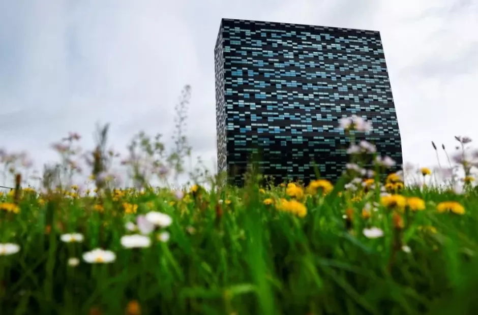 “荷兰这个时候找茬中国子公司，无疑是在冒险”-第1张图片-