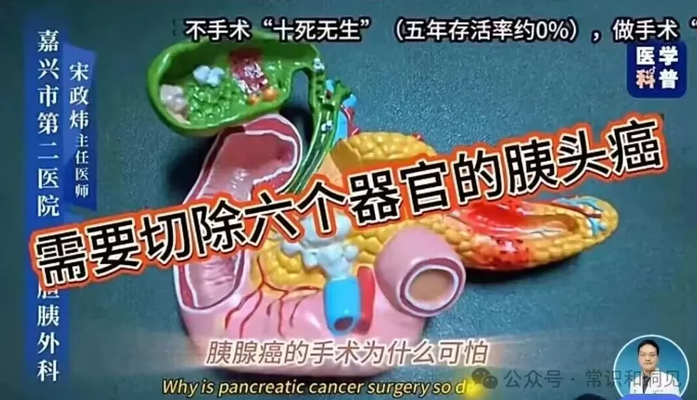 一场针对医生的网暴，正在发生-第2张图片-