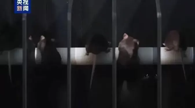 神舟上演“宇宙级浪漫”之际，美国NASA忙着火速回应知名女星的公开质疑-第4张图片-