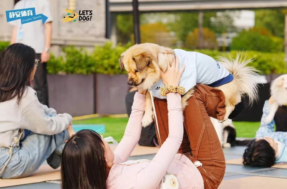 苏河湾犬运会开幕，解锁“体育+潮流+萌宠”跨界新体验-第5张图片-