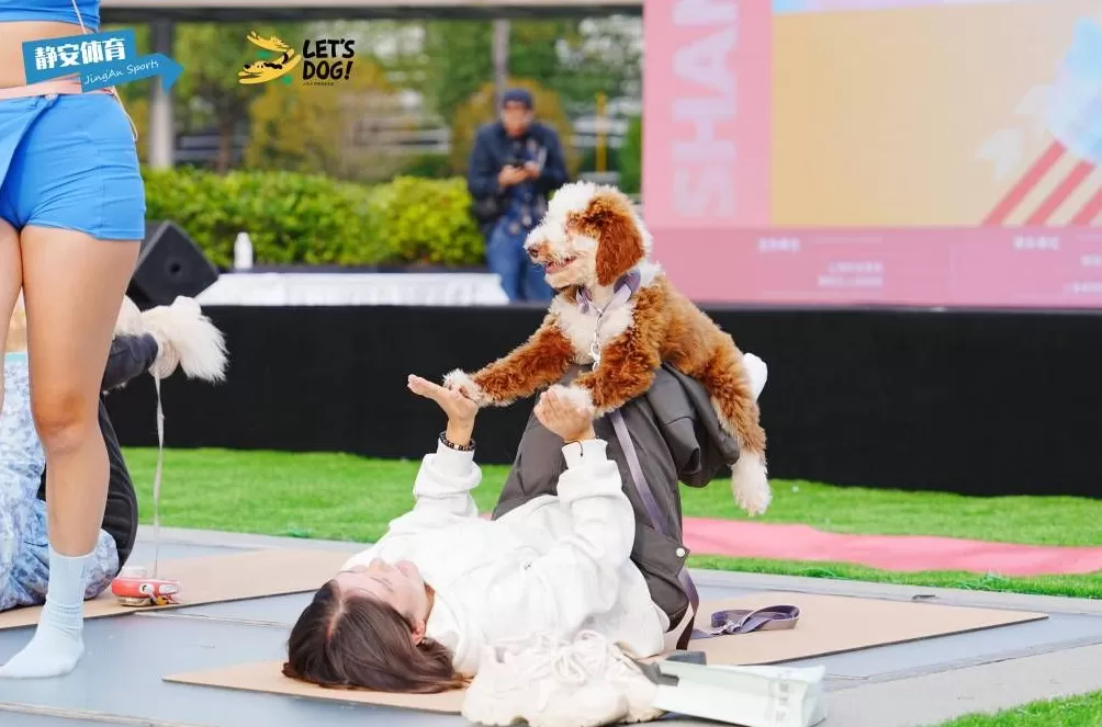 苏河湾犬运会开幕，解锁“体育+潮流+萌宠”跨界新体验-第6张图片-