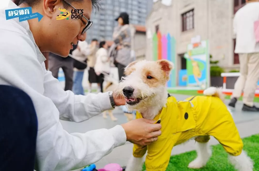 苏河湾犬运会开幕，解锁“体育+潮流+萌宠”跨界新体验-第9张图片-