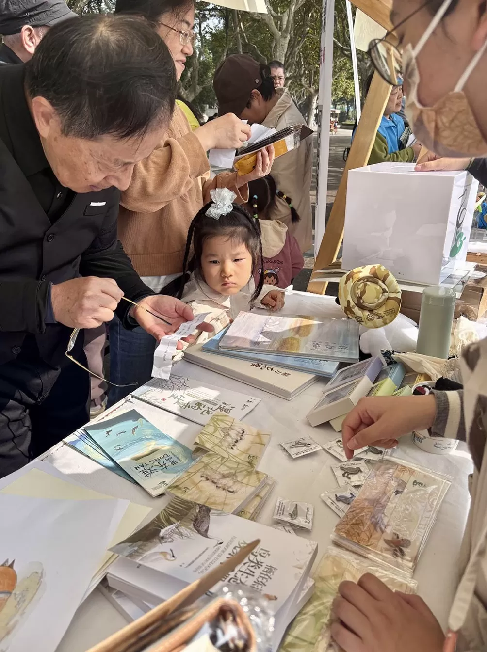 候鸟迁徙渐入高峰，上海持续开展鸟类保护活动、打击违法行为-第2张图片-