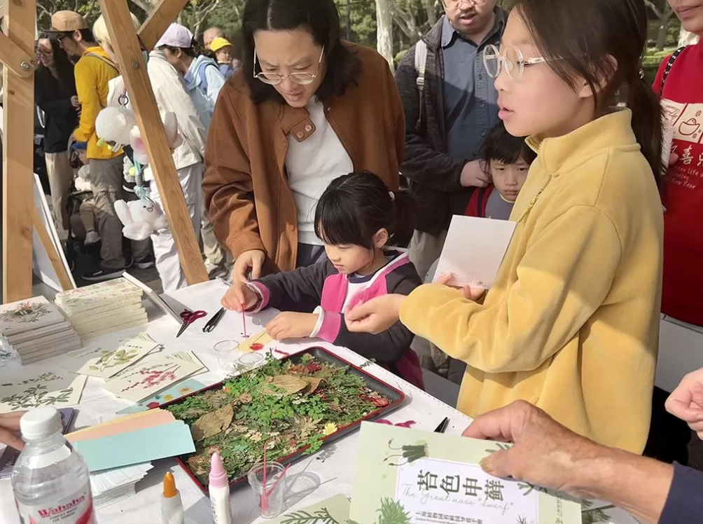 候鸟迁徙渐入高峰，上海持续开展鸟类保护活动、打击违法行为-第3张图片-