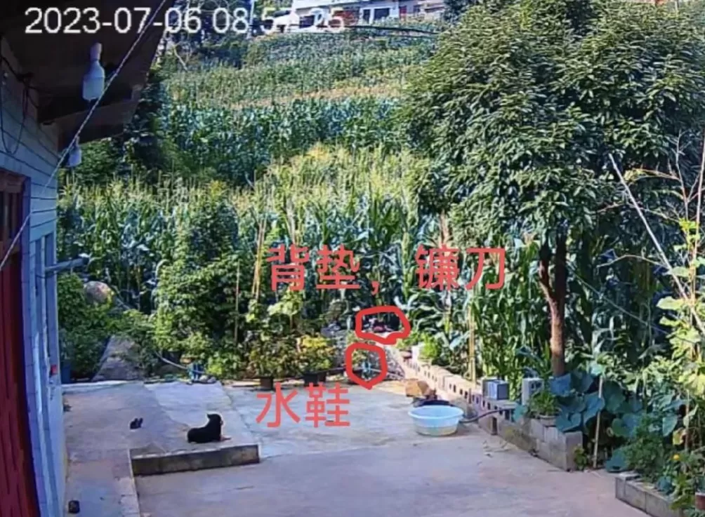 贵州农妇遇害案再审：“被动坦白”可否轻判？-第3张图片-