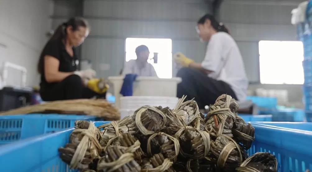 吃蟹，还得是兴化-第3张图片-