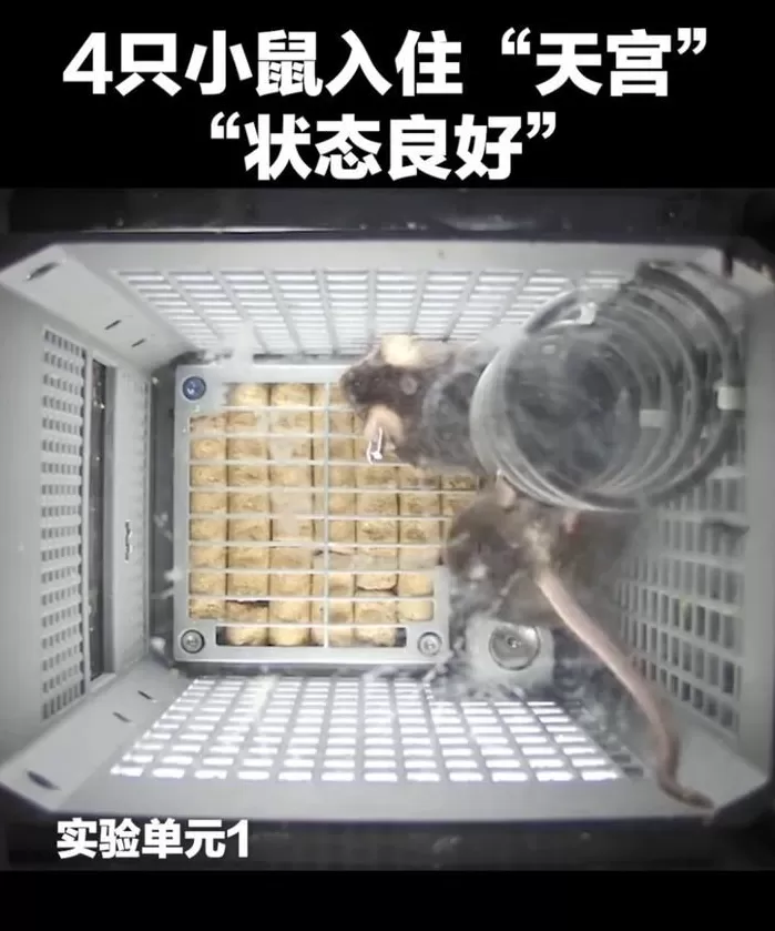 最快纪录世界唯一！中国科技捷报频传-第2张图片-