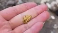 “一盆就出了5克多”，甘肃一河道多人冒严寒淘金，当地：明确禁止-第2张图片-