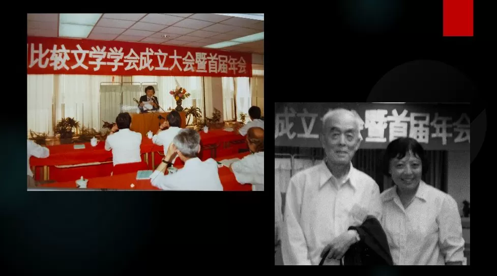 戴锦华忆乐黛云：她是那个大时代的风云儿女-第3张图片-