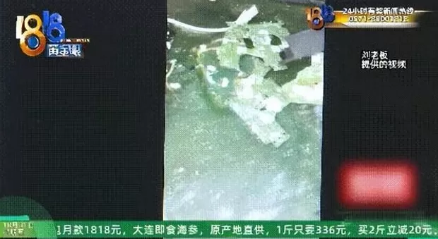存了代码的硬盘被泡水，老板：我是一个有梦想的人，代码值150万-第3张图片-