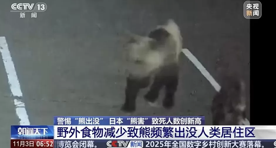 日本“熊害”致死人数创新高中国驻札幌总领馆提醒：警惕熊出没-第4张图片-