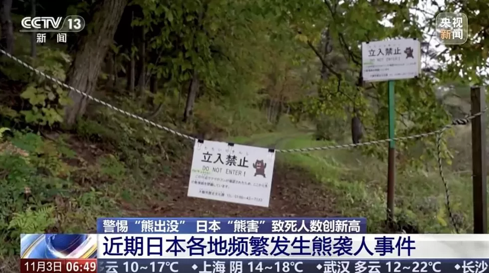 日本“熊害”致死人数创新高中国驻札幌总领馆提醒：警惕熊出没-第2张图片-