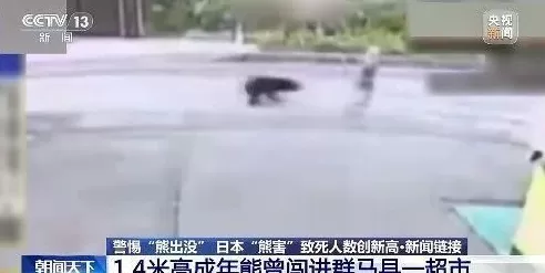 日本“熊害”致死人数创新高中国驻札幌总领馆提醒：警惕熊出没-第3张图片-