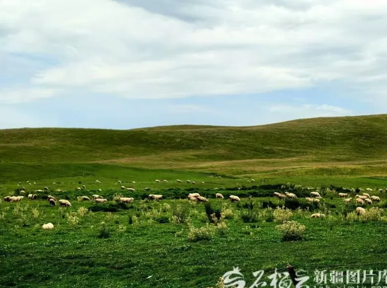 祖国大家庭的温暖丨牧区转型走出双赢路-第1张图片-