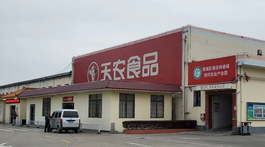 “清远鸡王” 天农集团赴港 IPO，家族成员集中管理层：夫妻掌舵，子女及侄子跻身高管-第1张图片-