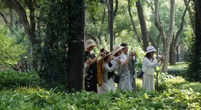 情绪经济视角下的“出片文化”：身份构建与去远寻视-第2张图片-