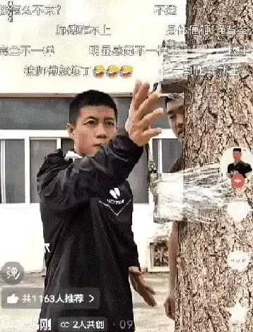 通背拳传人被几个耳光KO了，算不算传武的至暗时刻？-第14张图片-