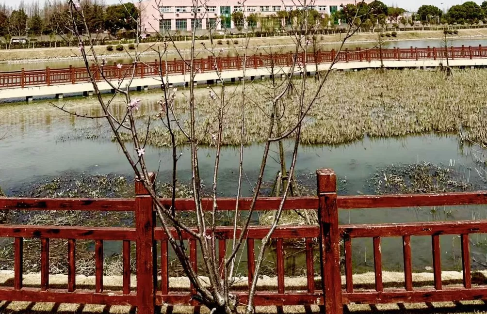 上海旅居⑧｜俄罗斯人马克：有时太快了感觉事情没真正发生过-第5张图片-