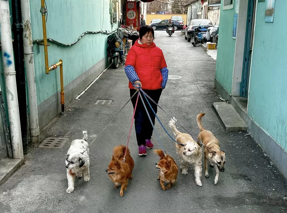 上海旅居⑧｜俄罗斯人马克：有时太快了感觉事情没真正发生过-第6张图片-
